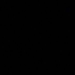 Meet your Posher, Carly